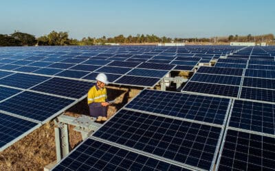 Data Foundation Advisory & Implementation for Leader in American-Made EBOS Solutions